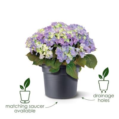 Elho Green Basics Cilinder 65 bloembak - Zwart - Ø 64 x H 49 cm - buiten - 100% gerecycled - thumbnail