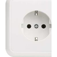 ELSO UP-stopcontact 205024 met volledige plaat 16A zuiver wit Meerdere kleuren 1 stuk(s)