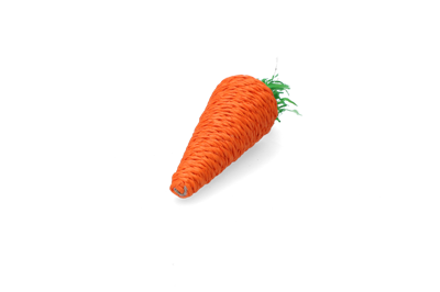 Pawise Play & Chew Carrot