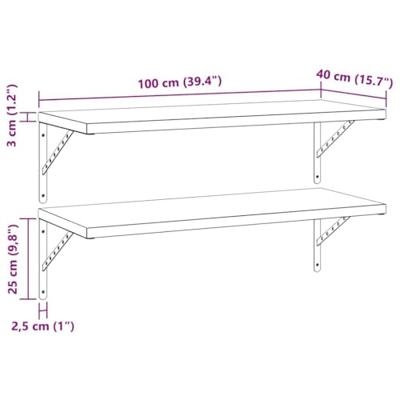 Wandschappen 2 st 100x40 cm roestvrijstaal zwart
