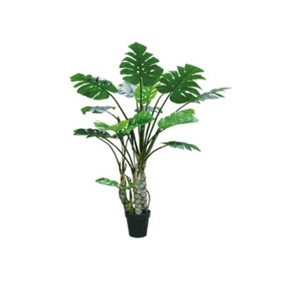 Kunstplant Monstera 4 stam 170 cm Buitengewoon de Boet - Buitengewoon de boet