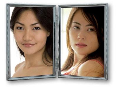 Zep fotolijst 120ds04-5r silver 2x 13x18 cm Zep fotolijst 120ds04-5r silver 2x 13x18 cm
