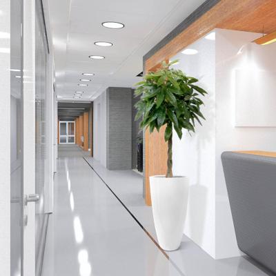 Pachira deluxe kunstplant 120cm Pachira deluxe kunstplant 120cm