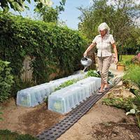 GRAF 645050 SUNNY plantentunnel voor inzaai, kunststof, 105x40x30cm 1 stuk(s) - thumbnail