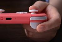 8Bitdo Bluetooth Gamepad Lite 2 Pink Edition - thumbnail