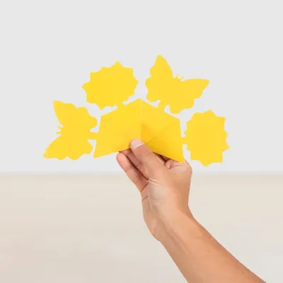 Insectenvanger - 10 stuks