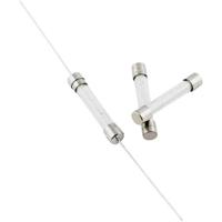 TRU COMPONENTS 1576690 TC-530219 Buiszekering (Ø x l) 5 mm x 30 mm 1.6 A 500 V Normaal -mT- Inhoud 1 stuk(s) - thumbnail