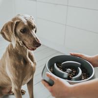 Voerbak voor honden Hunter Melamine 550 ml - thumbnail