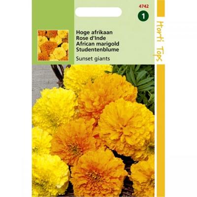 Zaden Tagetes hoge Afrikaan Sunset Giants gemengd Hortitops - Hortitops