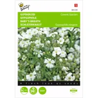 Zaden Gypsophila Gipskruid Covent Garden Buzzy - Buzzy - thumbnail