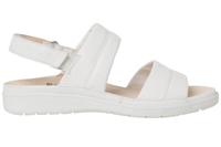 Ganter 200521 - alle - thumbnail