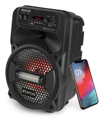 Fenton FPC8 accu speaker 100W met Bluetooth, microfoon en LED