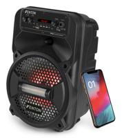 Fenton FPC8 accu speaker 100W met Bluetooth, microfoon en LED - thumbnail