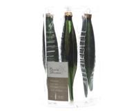 6 Pegels glas glans-mat diameter 3x15cm Dennen groen KSD - Ksd - thumbnail