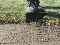 Fiskars 1011617 Graskantafsteker - thumbnail