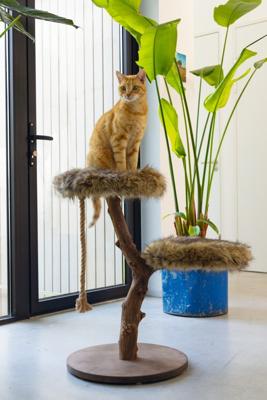 Designed by Lotte Aviva Krabmeubel