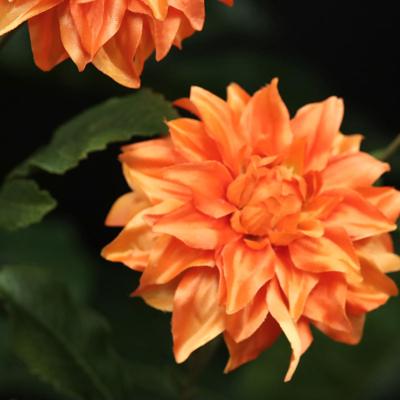 Dahlia Kunsttak deluxe 78cm Oranje