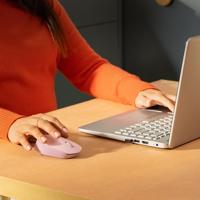 Logitech M171 Muis Radiografisch Optisch Roze 3 Toetsen 1000 dpi - thumbnail