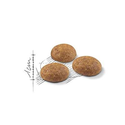 Royal Canin Outdoor kattenvoer 4kg