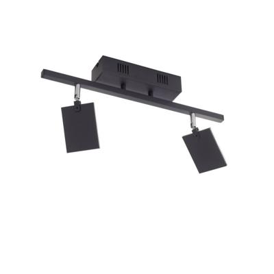 Paul Neuhaus PlafondlampPure Mira 2-lichts zwart - 6354-18