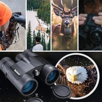 Bushnell Prime 8x42 black roof prism