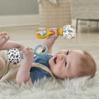 Mattel Fisher price schud en rammel sambaballen - thumbnail