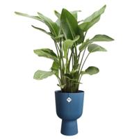 Vaso per fiori - Elho - Vibes Fold Coupe - Blu - L 30 x P 29,5 x H 45 cm - Per interni - 100% riciclato - thumbnail