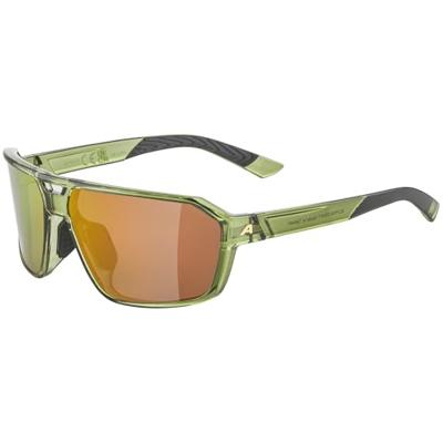 Alpina Swift - Sports Glasses