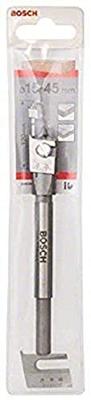 Bosch Accessories 2608596333 Hout-freesboor 45 mm Gezamenlijke lengte 120 mm Zeskant schacht 1 stuk(s)