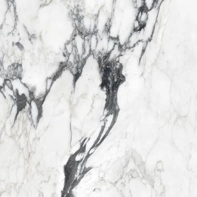 Vloertegel Douglas & Jones Magnum 120x120 cm Marmerlook Gerectificeerd 6 mm Mat Calac Altissim Douglas & Jones Vloertegel Douglas & Jones Magnum 120x120 cm Marmerlook Gerectificeerd 6 mm Mat Calac Altissim Douglas & Jones