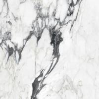 Vloertegel Douglas & Jones Magnum 120x120 cm Marmerlook Gerectificeerd 6 mm Mat Calac Altissim Douglas & Jones - thumbnail
