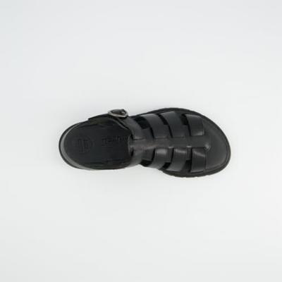 Paul Green 6204 - alle