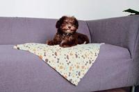 TRIXIE BE NORDIC HONDENDEKEN REISDEKEN HOOGE GRIJS 100X65 CM - thumbnail