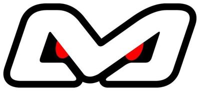 Ishima - Diff. Pinions + Diff. Case (ISH-010-010-V2)