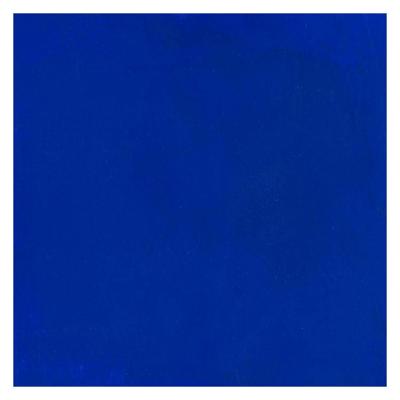 Bruynzeel Ecola plakkaatverf fles 16ml donkerblauw 502