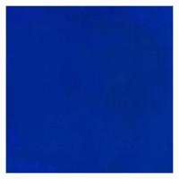 Bruynzeel Ecola plakkaatverf fles 16ml donkerblauw 502 - thumbnail