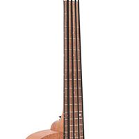 Gold Tone M-BASS/L linkshandige Microbass met gigbag - thumbnail