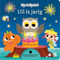 Boek Uil Is Jarig Lichtjesboek - thumbnail
