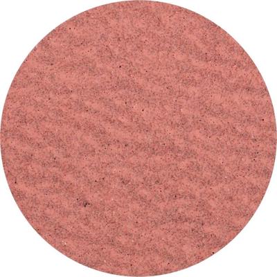 PFERD TOOLS CDR 50 A-COOL 60 42772506 Schuurblad Korrelgrootte (num) 60 (Ø) 50 mm 100 stuk(s) PFERD TOOLS CDR 50 A-COOL 60 42772506 Schuurblad Korrelgrootte (num) 60 (Ø) 50 mm 100 stuk(s)