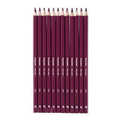 Bruynzeel • super kleurpotloden roodpaars 12pcs