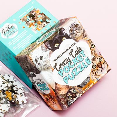 Pocket puzzel (100 stukjes) - Crazy Cats