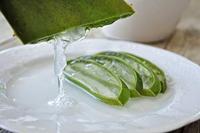 Tabaibaloe Aloe Cream - thumbnail