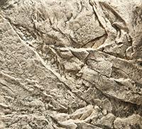 Juwel achterwand Cliff light 60x55 cm Juwel Gebr. de Boon - Gebr de boon - thumbnail