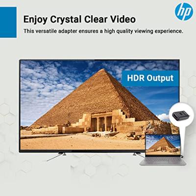 HP A/V adapter - 1 x DisplayPort Digital Audio/Video Male