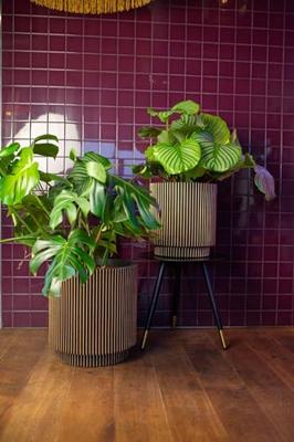 Capi nature groove nl cilinder bloempot 44x46 cm zwart, goud