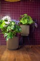 Capi nature groove nl cilinder bloempot 44x46 cm zwart goud - thumbnail