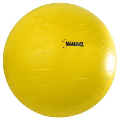 Maximus Power Play Ball 100 cm