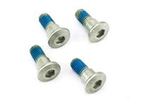 TRW bouten set screw set 4pcs. m8x1,25 - thumbnail