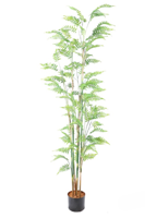 Kunstplant varen 180cm - thumbnail