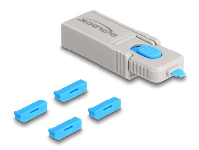 DeLOCK 20927 poortblokker Poortblokker + sleutel DisplayPort Blauw, Grijs Kunststof 5 stuk(s)
